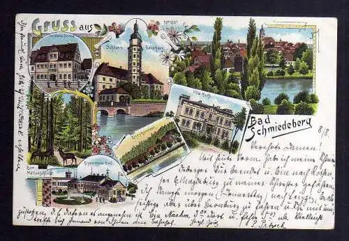 125513 Ansichtskarte Bad Schmiedeberg Litho 1900 Eisenmoorbad Goldene Sonne Villo Huth