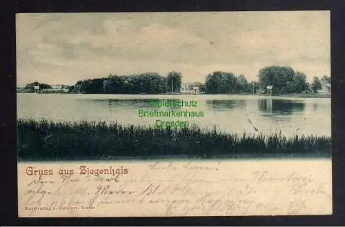 124814 Ansichtskarte Ziegenhals 1903  Niederlehme Wernsdorf Königs Wusterhausen