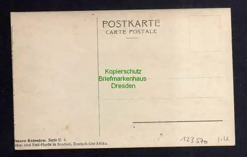 123570 AK Deutsch Ostafrika DOA Saadani Zebu und Esel Herde um 1906