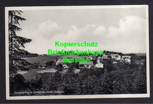 1186557 AK Uttewalde Sächs. Schweiz um 1930 Uttewalder Grund oberhalb des Felsen