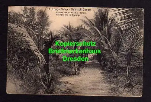 118746 Ansichtskarte Ganzsache Belgisch Congo Congo Belge Avenue des Palmiers a Banana