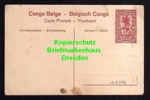 118746 AK Ganzsache Belgisch Congo Congo Belge Avenue des Palmiers a Banana