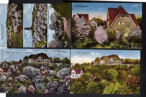 105362 4 Ansichtskarte Guben Baumblüte 1928 Bismarckturm 1926 Engelmanns Berg 1925