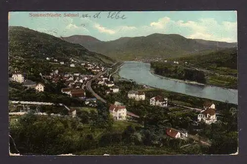 105734 AK Sommerfrische Salesel an der Elbe 1910