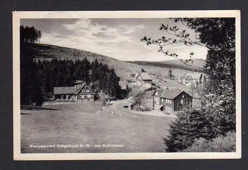104929 Ansichtskarte Kneippkurort Stützerbach Th. Wald Am Gründchen 1953