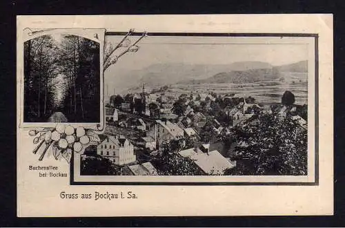 104970 AK Bockau i. Sa. Erzgebirge Buchenallee 1918