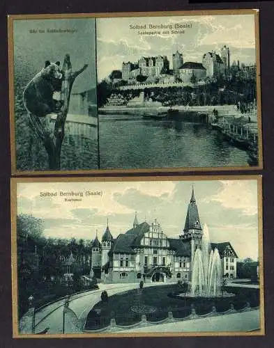 103331 2 Ansichtskarte Bernburg um 1920 Kurhaus Schloss Braunbär Bär im Schlosszwinger
