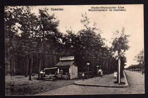 76075 Ansichtskarte Berlin Spandau Milchtrinkhalle Nieder Neuendorfer Allee Stadtwald