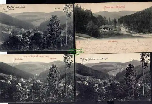 129290 7 Ansichtskarte Kipsdorf Villa Waldhof 1899 Niederpöbel 1943 Panorama