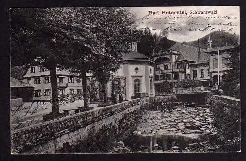 87966 Ansichtskarte Bad Peterstal Schwarzwald Renchtal 1921 Villen