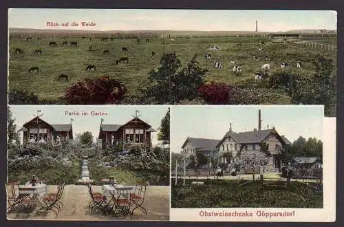 77769 Ansichtskarte Göppersdorf Obstweinschänke Weide Garten 1911