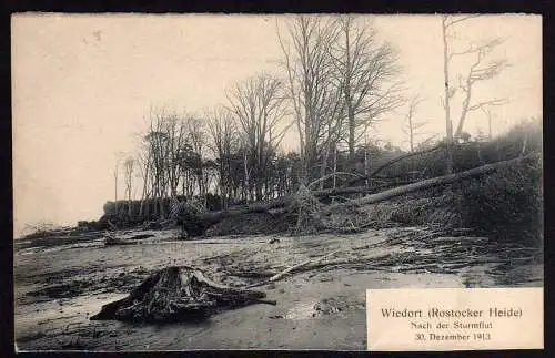 64130 AK Wiedort Rostocker Heide nach der Sturmflut 30.12.1913