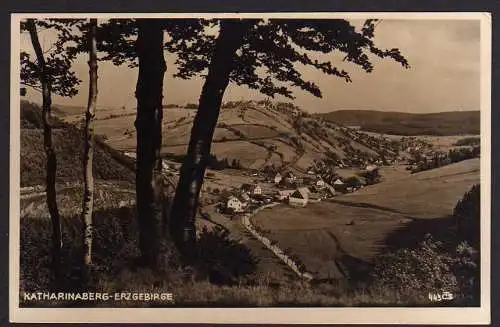 52642 AK Katharinenberg Erzgebirge Fotokarte um 1930