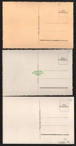 52457 3 AK Schluckenau um 1940 Platz Sudetenland