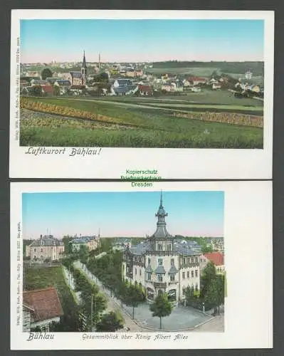 138995 2 AK Dresden Bühlau König Albert Allee um 1900 Panorama