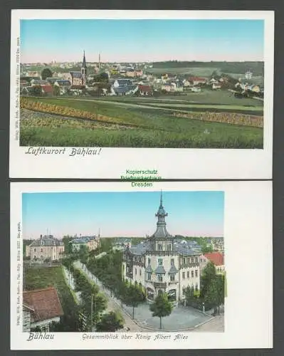 138995 2 Ansichtskarte Dresden Bühlau König Albert Allee um 1900 Panorama