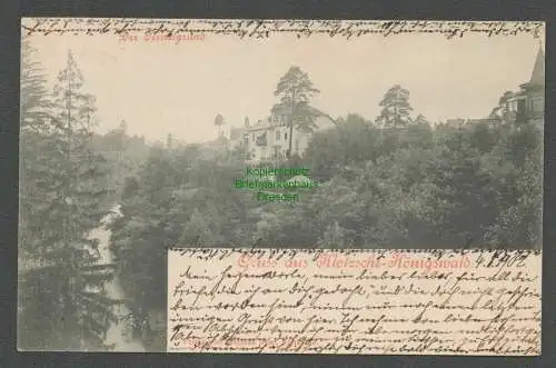 138994 Ansichtskarte Dresden Klotzsche Königswald 1902 Der Nesselgrund Bahnpost Zug 702