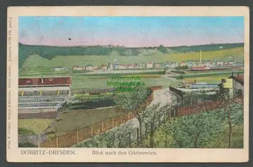 137338 Ansichtskarte Dobritz Dresden 1919 Blick nach den Gärtnereien