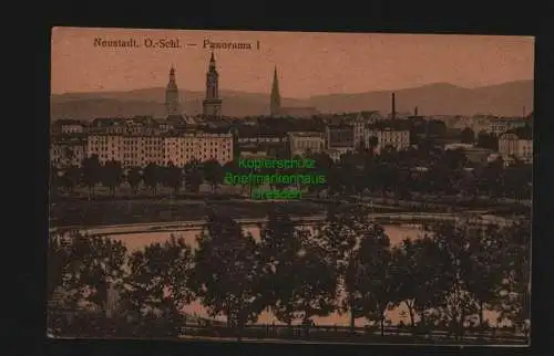 136551 AK Prudnik Neustadt O.S. 1929 Panorama I