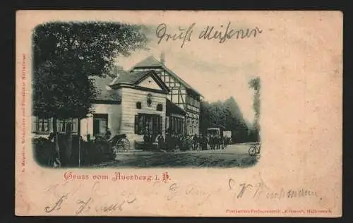 134828 Ansichtskarte Gasthaus u. Pension Josephshöhe und Auerberg A. Maigatter 1901