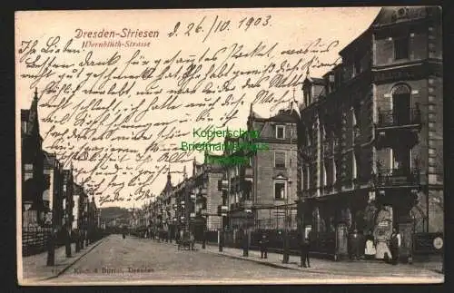 146108 AK Dresden Striesen Dornblüth Strasse 1903 Restaurant Reichs Adler