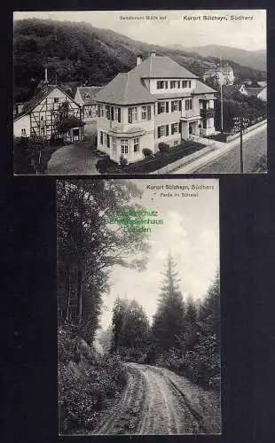 131537 2 Ansichtskarte Sülzhayn Ellrich Südharz Sanatorium Glück Auf 1916 Weg im Sülzetal