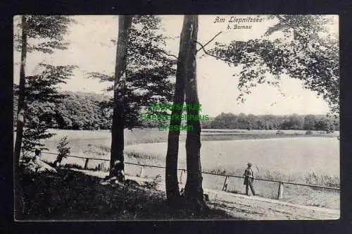 130774 AK Am Liepnitzsee b. Bernau 1913