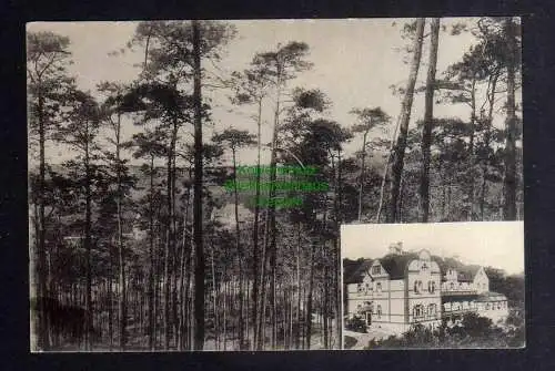 129226 Ansichtskarte Neu Coswig bei Dresden 1909 Dr. Nöhrings Sanatorium Lößnitz