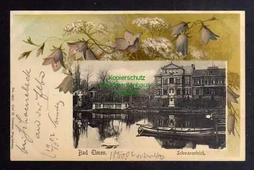 128595 Ansichtskarte Bad Salzelmen Elmen 1902 Schwanenteich Schönebeck Elbe