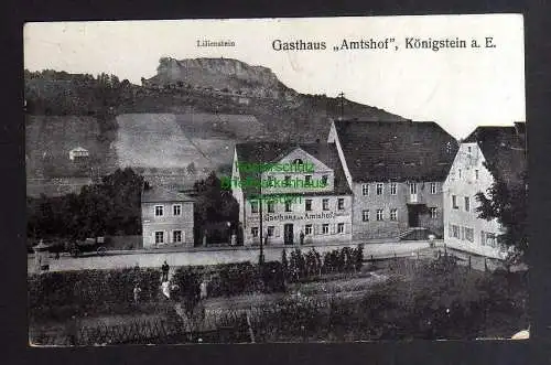 127770 AK Königstein Elbe Gasthaus Amtshof mit Lilienstein um 1910