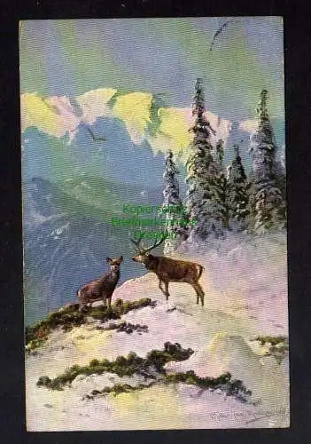 126318 AK Künstlerkarte Jagd Reh Hirsch Winterlandschaft 1906 Müller jun München