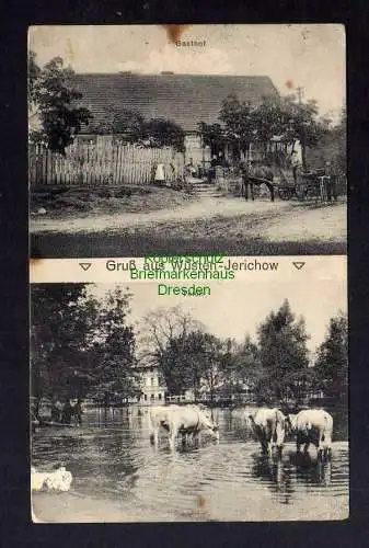 125646 AK Wüstenjerichow Möckern Gasthof Teich Kühe 1915