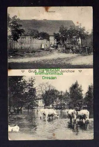125646 Ansichtskarte Wüstenjerichow Möckern Gasthof Teich Kühe 1915