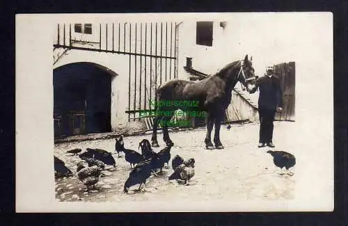 122557 AK Reichenbach O.-Lausitz 1917 Bauer mit Pferd Fotokarte
