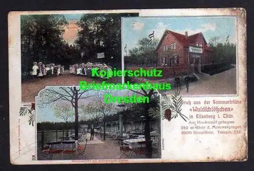 118273 AK Eisenberg Thür. 1911 Waldschlößchen Gasthaus Gartenansicht mit Zoologi