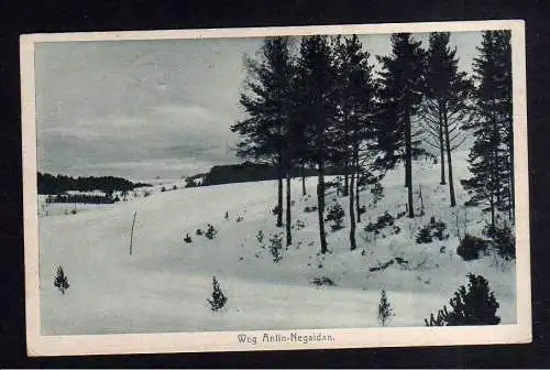 111031 Ansichtskarte Kurland Weg Antin Legaidan 1918 Feldpost