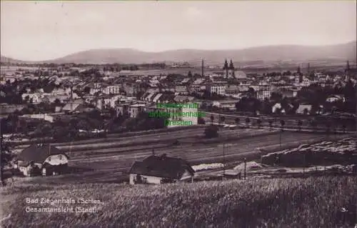 160120 AK Bad Ziegenhals i.Schles. 1929 Gesamtansicht (Stadt)
