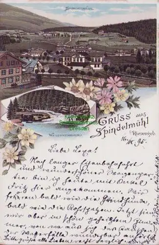 160179 Ansichtskarte Spindelmühl 1895 Litho Vorläufer WEISSWASSERGRUND Riesengeb. 16.x. 95.