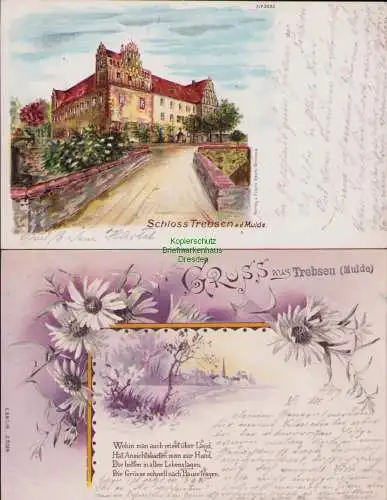 160189 2 Ansichtskarte Schloss Trebsen an der Mulde Litho 1899