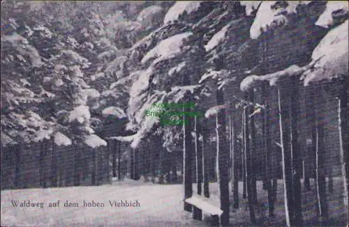 160124 AK Waldweg auf dem hohen Viehbich 1918