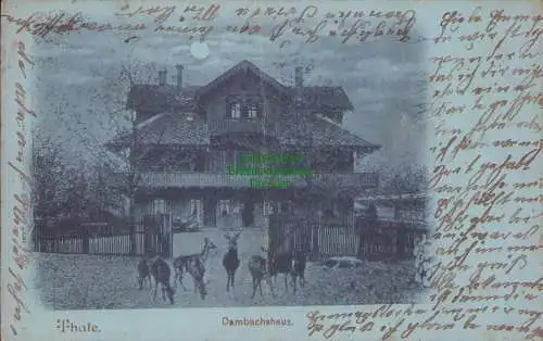 160280 AK Thale 1899 Dambachshaus Mondscheinkarte mit Rehen