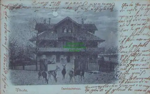 160280 Ansichtskarte Thale 1899 Dambachshaus Mondscheinkarte mit Rehen