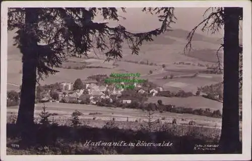 160125 AK Hartmanitz in Böherwalde Fotokarte um 1920 Foto J.Seidel B.Krumau
