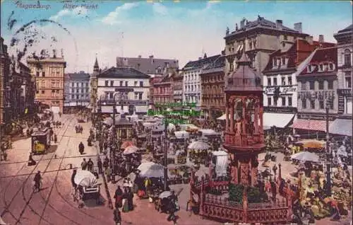 160082 Ansichtskarte Magdeburg 1908 Alter Markt