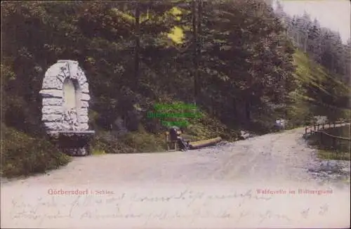 160221 AK Görbersdorf i. Schles. Waldquelle im Büttnergrund um 1910