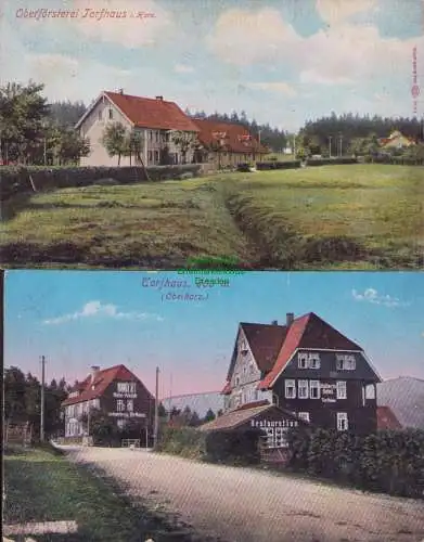 160287 2 Ansichtskarte Torfhaus Oberharz Oberförsterei Torfhaus i. Harz. Wullerts Hotel