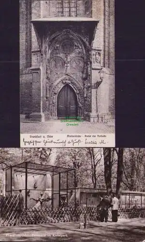160293 2 Ansichtskarte Frankfurt a. Oder Marienkirche Portal der Vorhalle 1909 Fasanerie