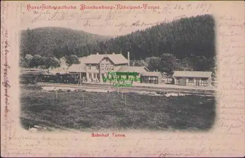159072 Ansichtskarte Harz-Zahnradbahn Blankenburg-Rübeland-Tanne Bahnhof 1899