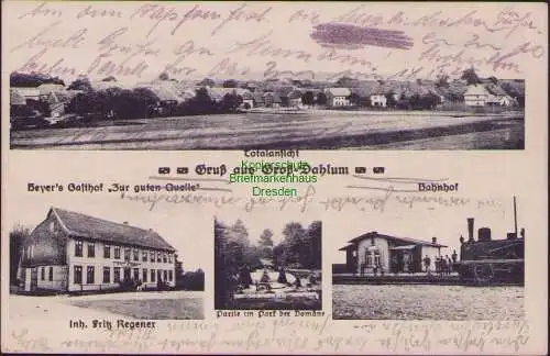 159054 Ansichtskarte Groß-Dahlum Beyer's Gasthof Zur guten Quelle Bahnhof Partie Park 1921