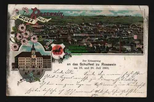 136237 Ansichtskarte Rosswein Schulfest 1903 Litho Rathaus Panorama